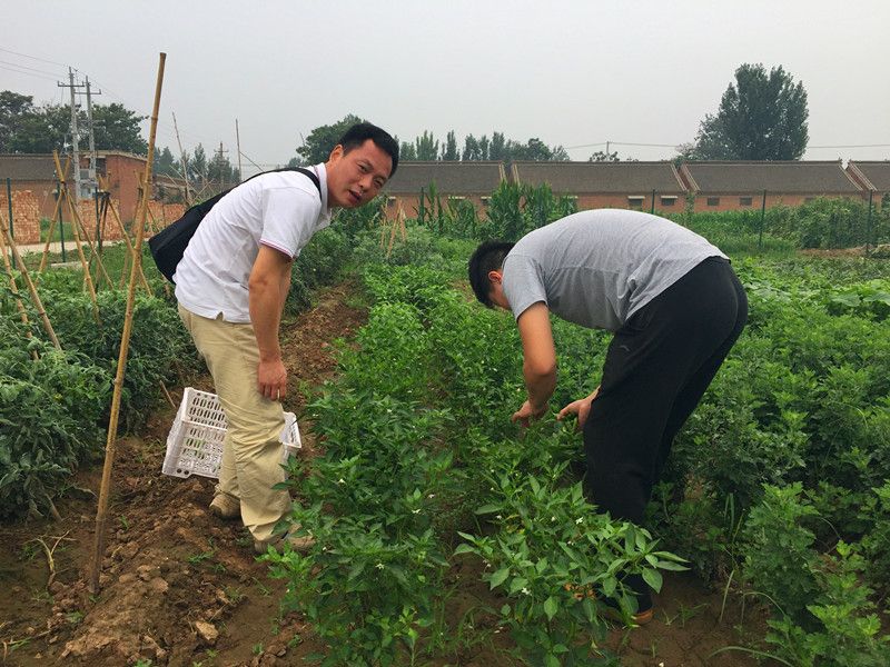 好利來郭總喊您來摘菜啦！綠色無公害，放心！